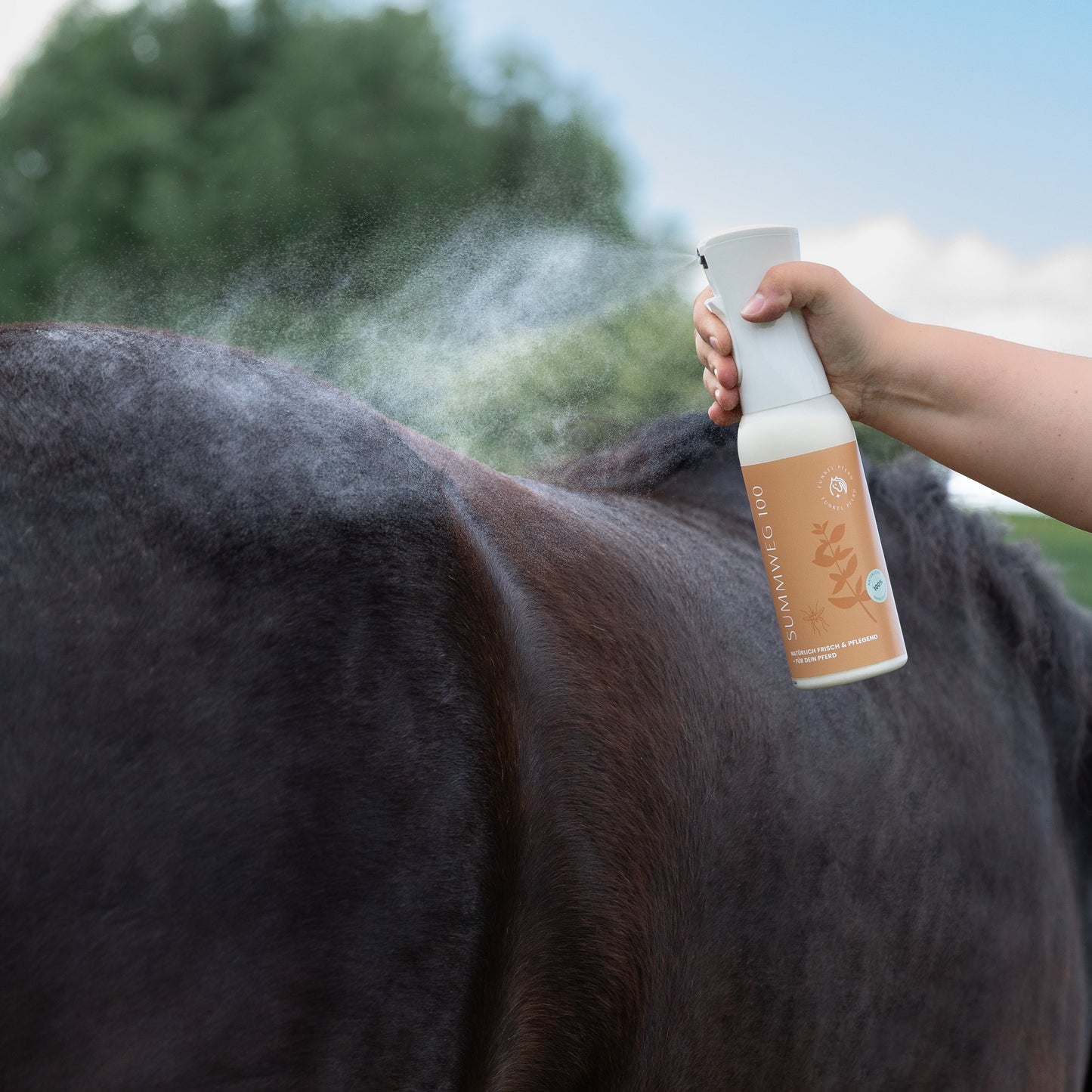 Sommer-Bundle: ZischAb100 Ultra & SummWeg100 im Vorteilspack