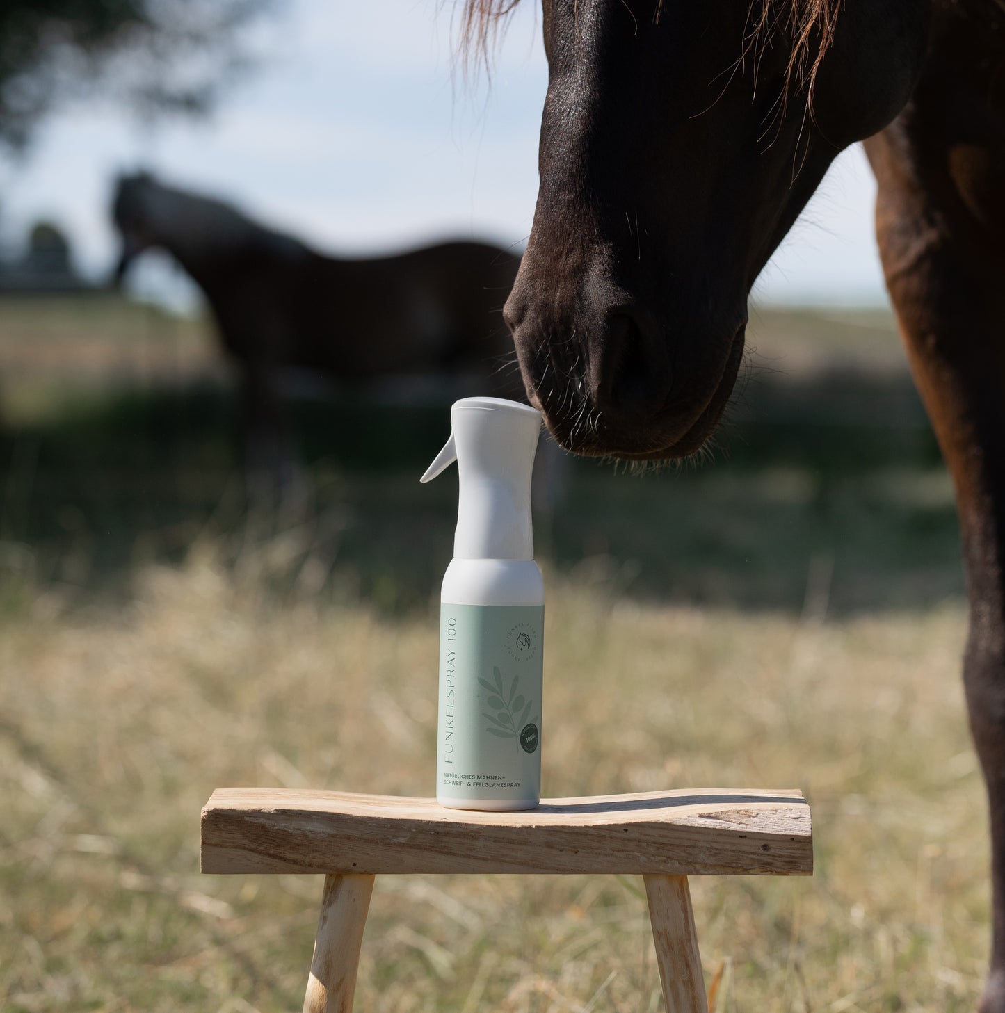Funkelspray-Natürliches Schweif- und Mähnenspray silikonfrei 500 ml