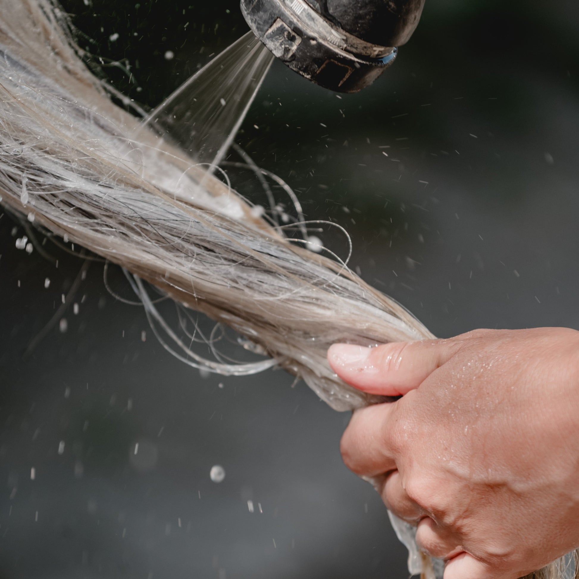 Waschen des Pferde Schweifs mit Funkelpferd Pferdeshampoo