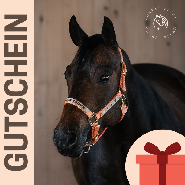 Geschenk-Gutschein