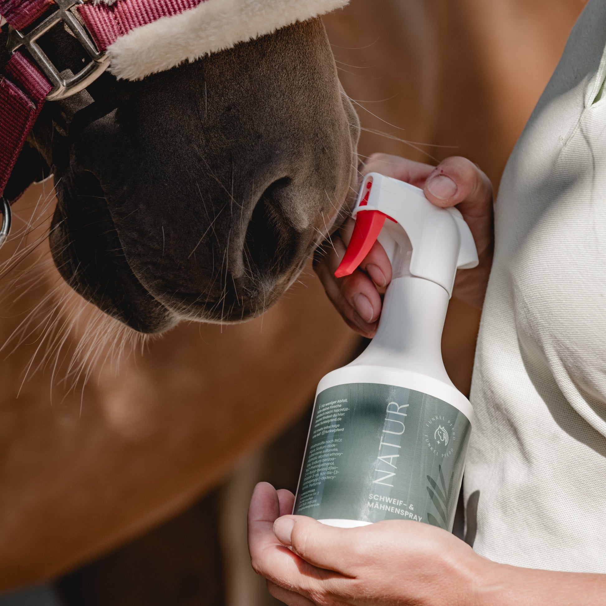 Pferdenase an der Sprühflasche des Mähnenspray Natur