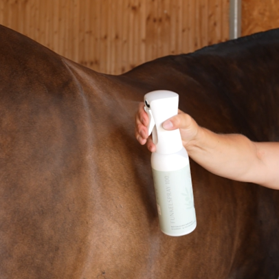 Natürliches Schweif- und Mähnenspray SILIKONFREI 500 ml