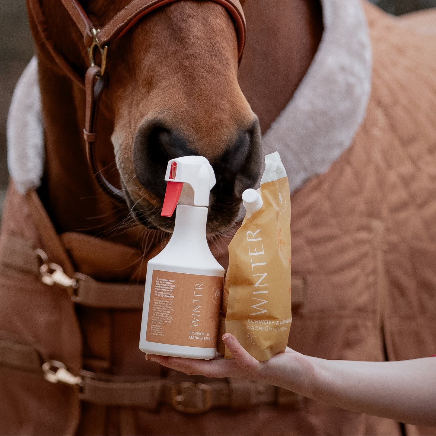 Pferdenase an Winter Fellpflege Produkten