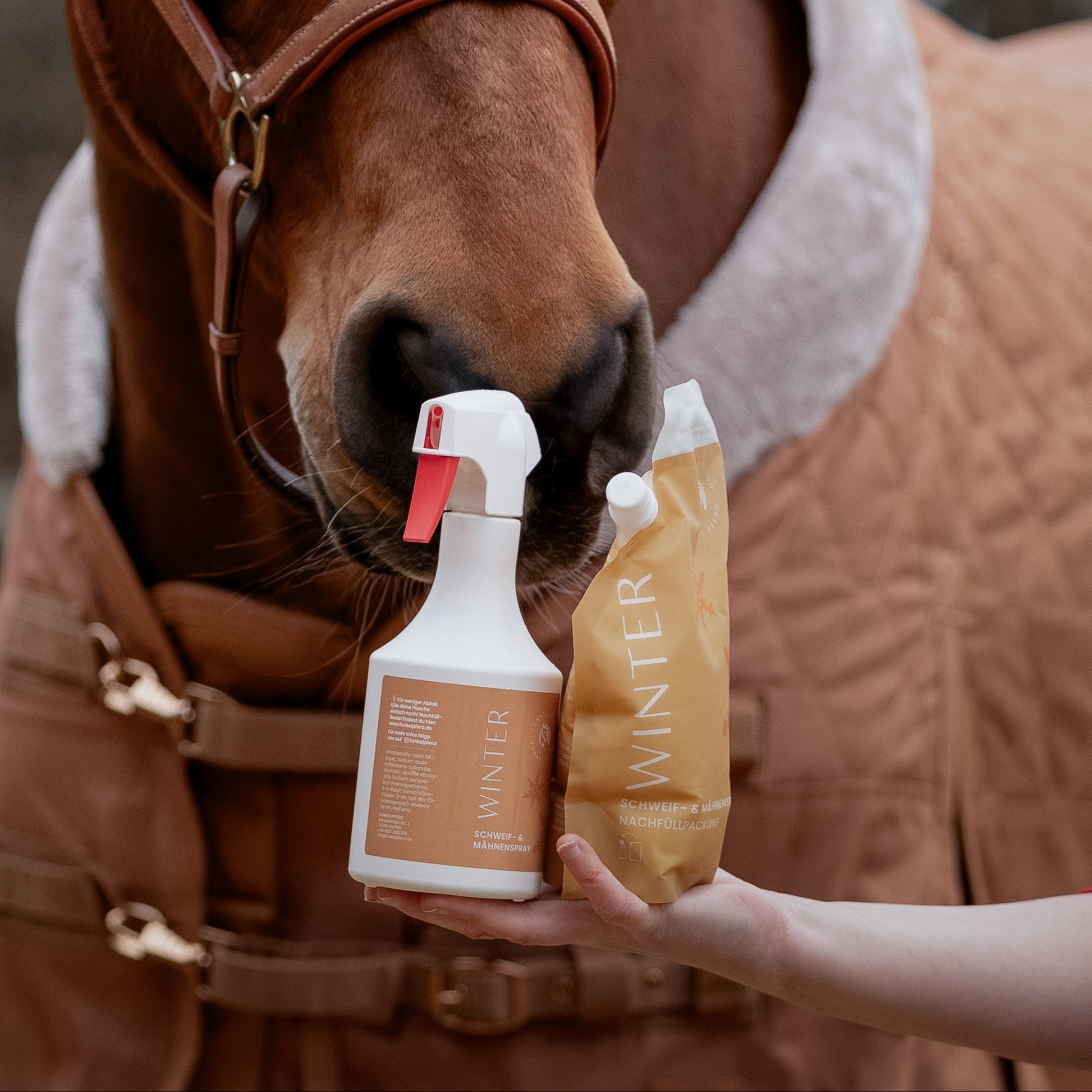 Pferdenase an Winter Fellpflege Produkten